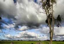 欧超杯皇马vs亚特兰大-ayx爱游戏下载安装